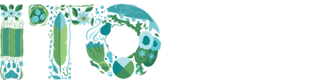 ITO logo